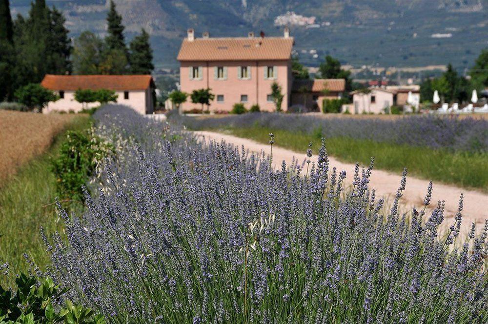 Country House Casco Dell'Acqua Trevi Zewnętrze zdjęcie